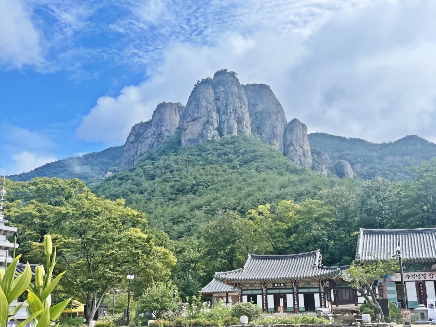 [주왕산국립공원 걷기 좋은 길] 대전사-용추폭포-용연폭포-절구폭포-주왕암(주왕굴)